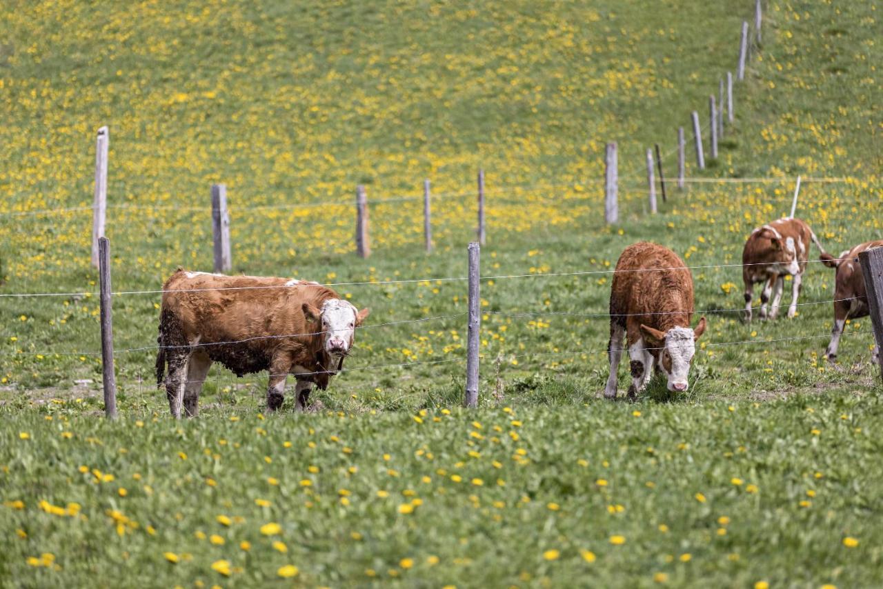 Ferienwohnung Gitschbergblick Terenten Exteriör bild