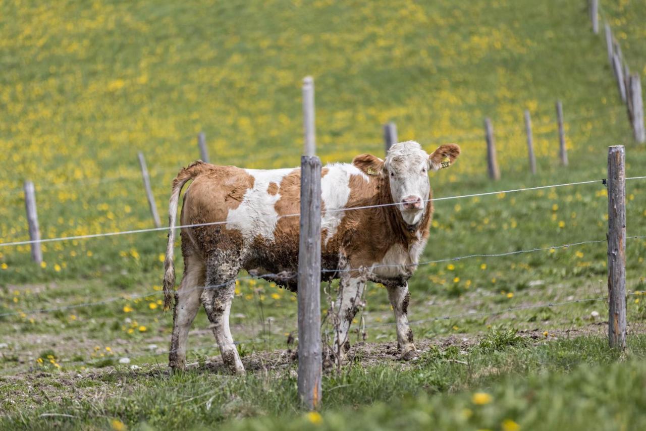 Ferienwohnung Gitschbergblick Terenten Exteriör bild